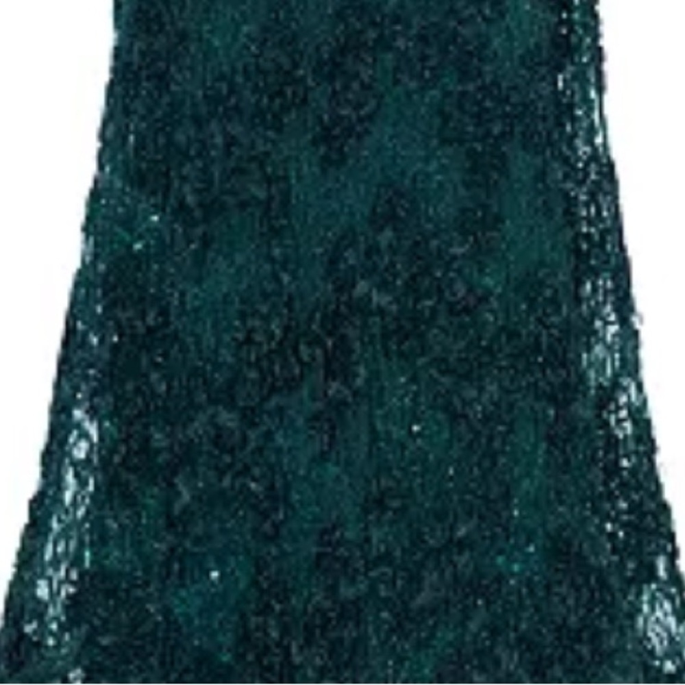R & M Richard’s Lace Dress - Picture 4 of 7